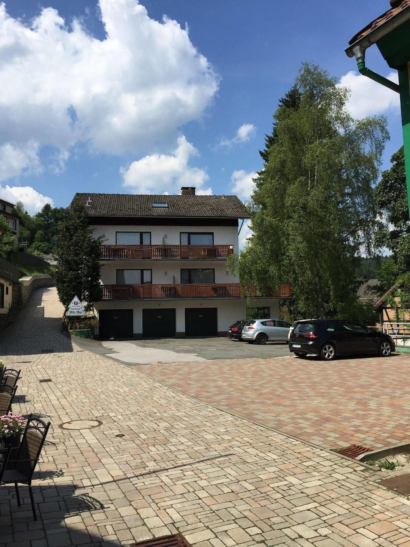 Landhotel Alte Aue Альтенау Екстер'єр фото